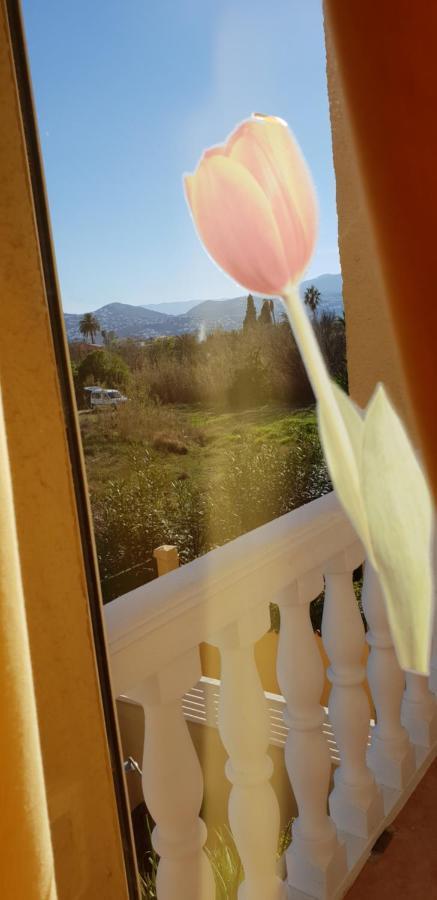 Apartamento Mar Y Sol, Dénia Buitenkant foto